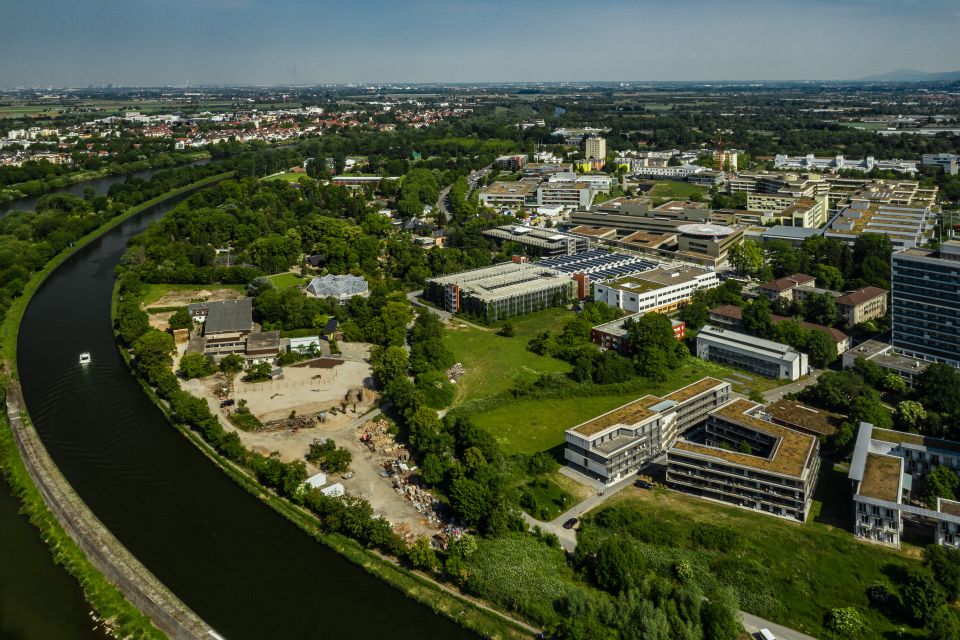 Teil des Grüngürtels im Neuenheimer Feld (Foto: Ross) Teil des Grüngürtels im Neuenheimer Feld (Foto: Ross)