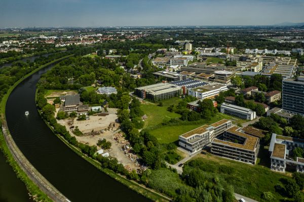 Teil des Grüngürtels im Neuenheimer Feld (Foto: Ross)